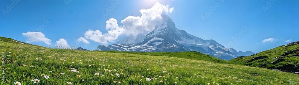 Fototapeta premium Lush alpine meadow beneath a majestic mountain peak.