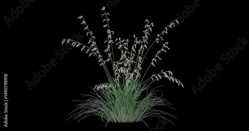 Wallpaper Mural Hair grass On Alpha Channel	
 Torontodigital.ca