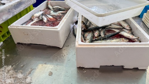 Silver-scaled sardines glisten in frost-bitten boxes, celebrating Nordic Fish Day amidst a sea of icy whispers and maritime echoes