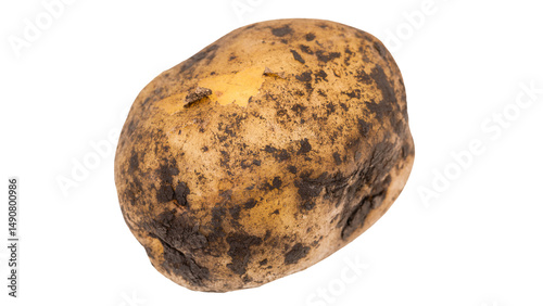 Potato on Transparent Background.