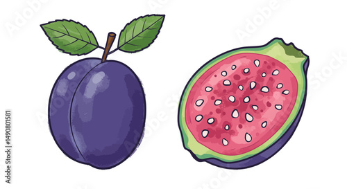 Cartoon Plum with Leaves and a Sliced Dragon Fruit with Seeds