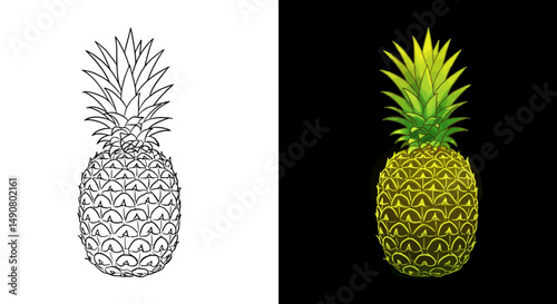 Split Pineapple Illustration Line Art and Colored Version with Yellow Hue