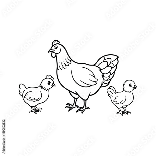 hen and chicks