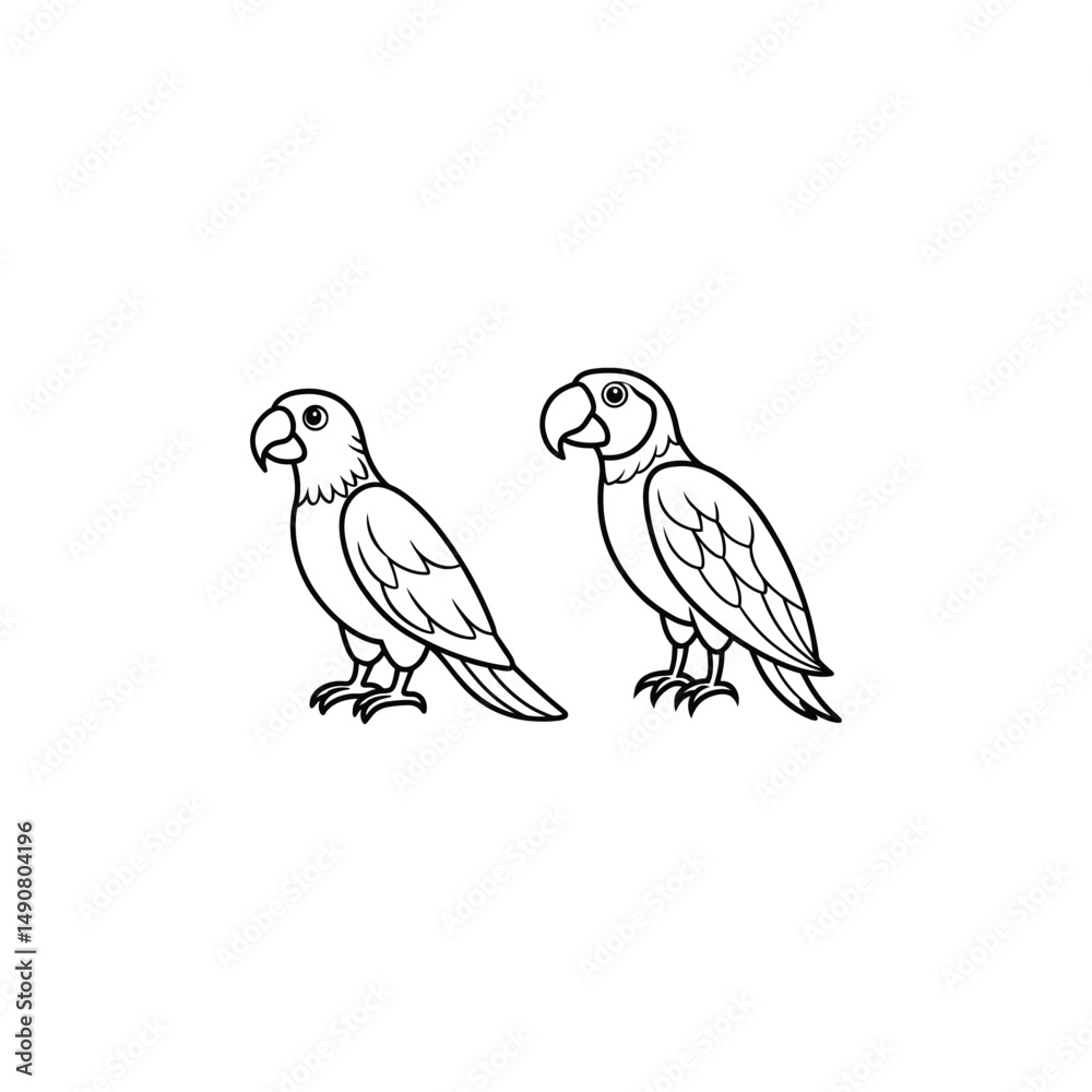 Fototapeta premium parrot
