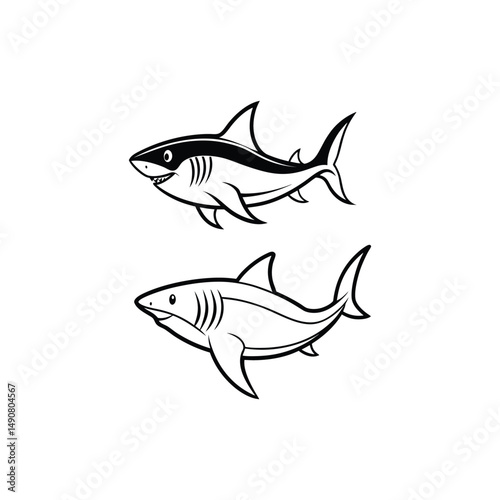 shark