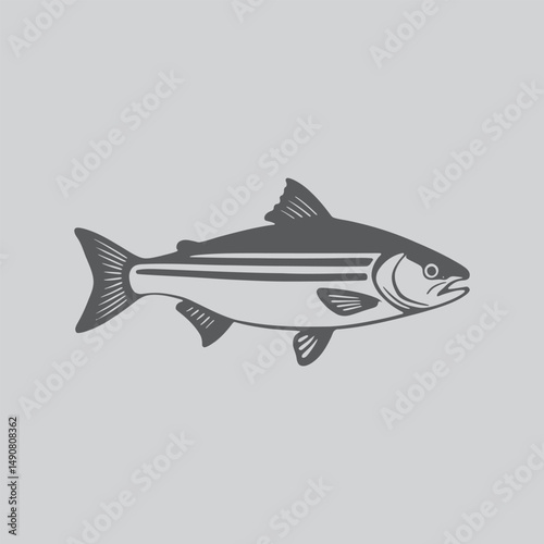 Unique Anchovy  Wall Art Design