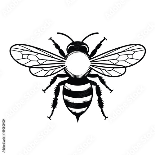 Vector Illustration of a Detailed Honeybee Silhouette