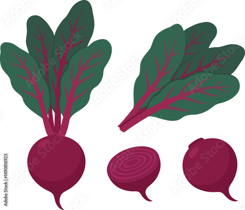 Beet set, beetroot and greens, whole and cut. Cartoon vector style clipart illustration.