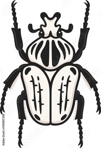 Goliath beetle, Goliathus orientalis, one of the largest insects. Vector clip art illustration isolated on white background.