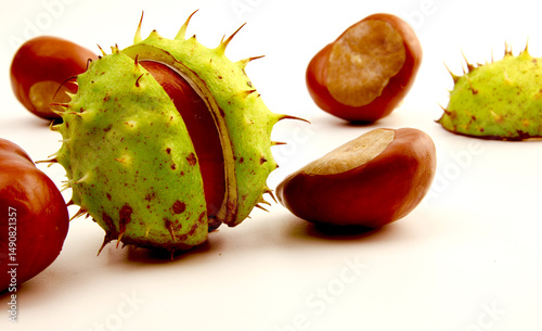 Raw chestnuts on white background. Colorful close-up photo. copy space. Raw nuts. Cooking. Diet. Review. Medicine. Cover.Background. Picture