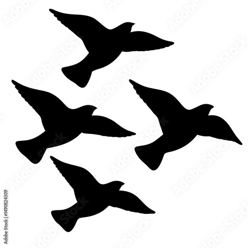Silhouette of Flying Birds on a White Background, Representing Freedom and Grace