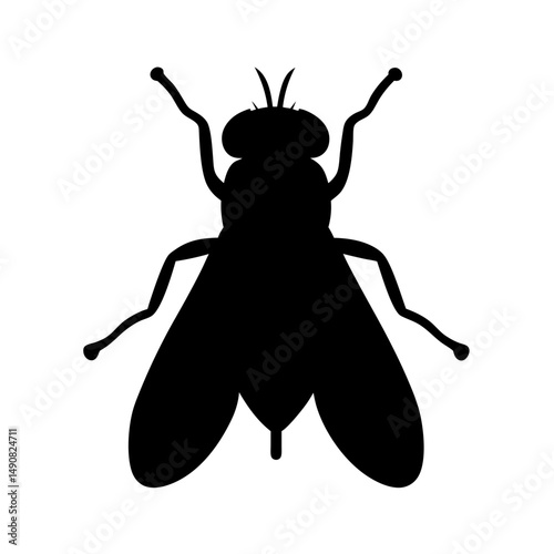 Silhouette of a fly with two wings and antennas in vector