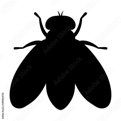 Black Silhouette of a Fly against a White Background, Insect Icon
