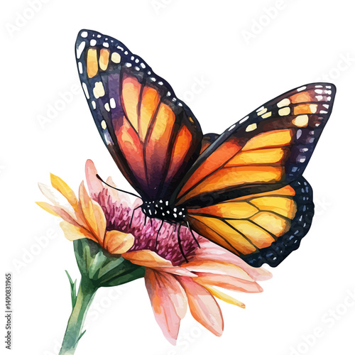 Monarch Butterfly Perched On A Flower, watercolor illustration vector, high quality, isolated on a white background.