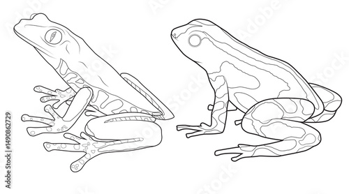 Frog drawing vector illustration for coloring