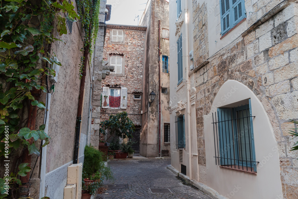 Fototapeta premium Narrow street decorated with ornamental plants in the old town
