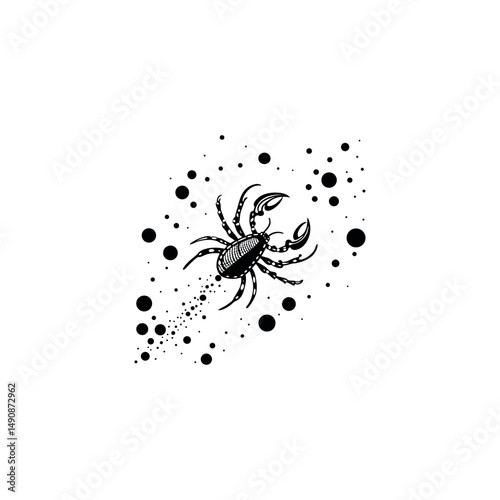 Vector illustration of a spider