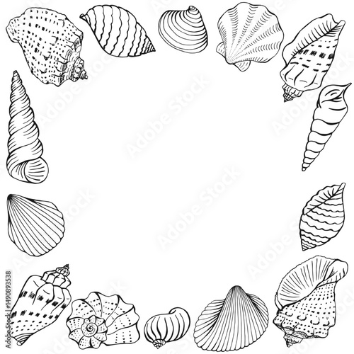 Frame with seashells. Hand drawn vector illustration.