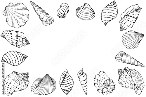 Frame with seashells with copy space for design or message.  Hand drawn