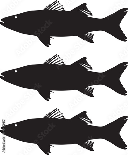 Premium vector. Silhouette snook fish on white background vector illustration. 