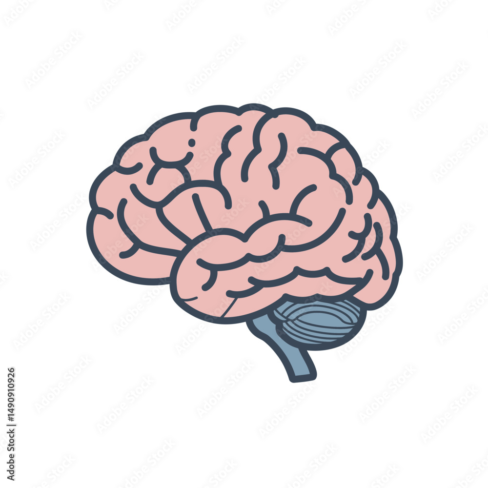 Human brain vector illustration