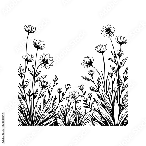 Hand-Drawn Botanical Illustration Black and White Floral Sketches