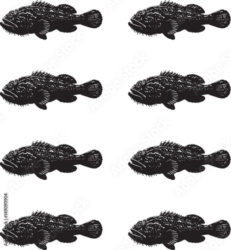 Set of different types of black wobbegong fish vector illustration. 