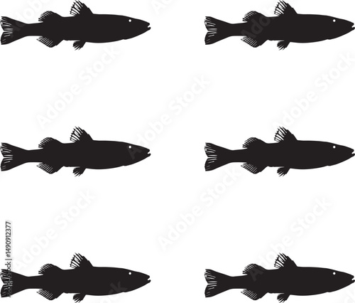 Premium vector silhouette Stickleback fish on white background. 