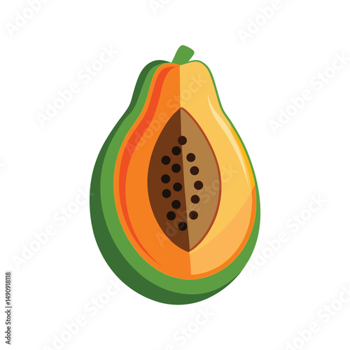 Colorful papaya vector art illustration
