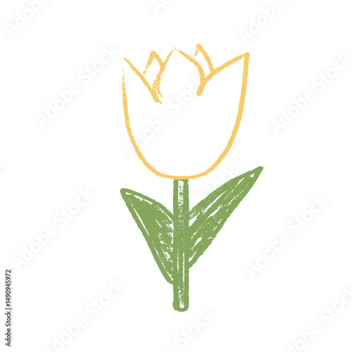 Tulip flower crayon drawn. Spring crocus plant doodle isolated on white background. Summer floral kids element. Chalk or pastel style childish scrawl nature shape. Vector naive illustration by pencil.