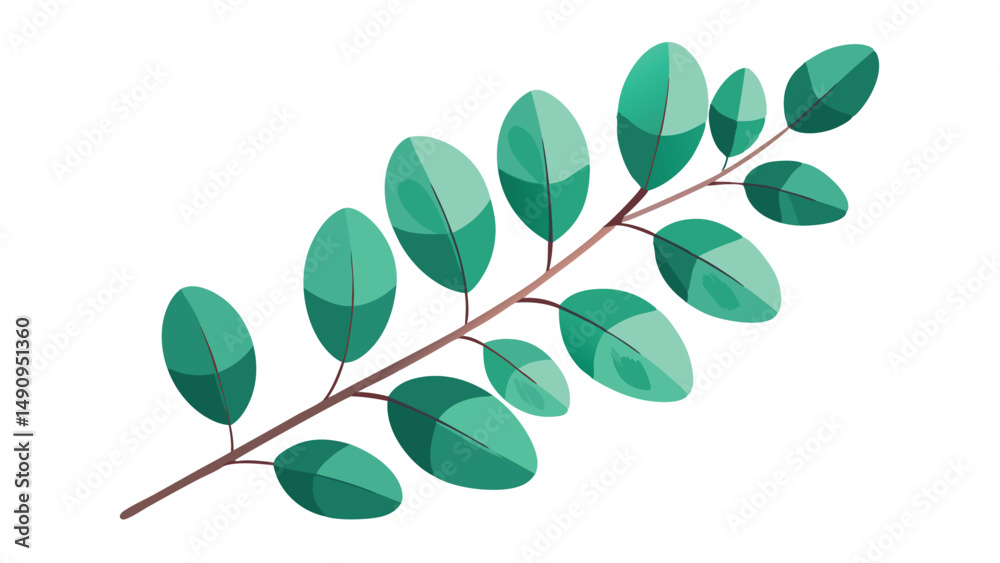 Obraz premium Artistic vector illustration of a eucalyptus branch with green oval shaped leaves on white background