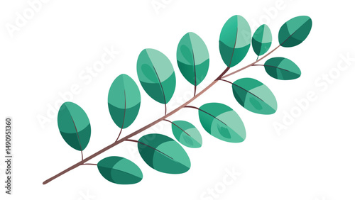Artistic vector illustration of a eucalyptus branch with green oval shaped leaves on white background