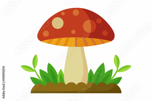 mushroom in grass