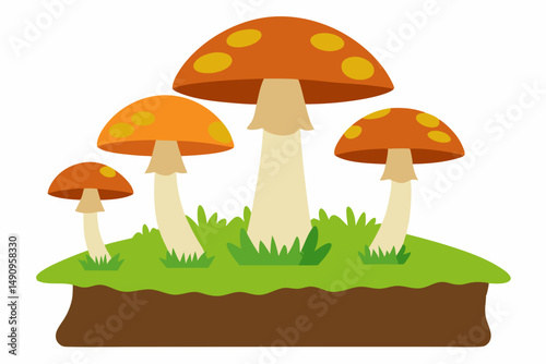 mushrooms in grass