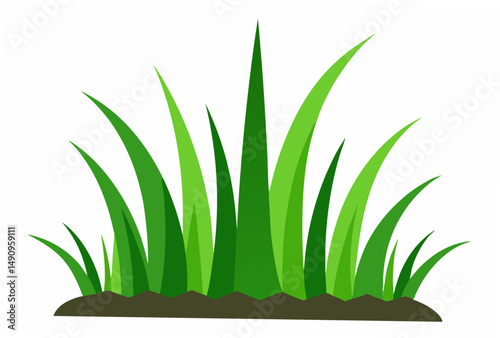 green grass in a white background