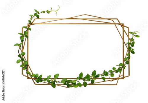 Geometric frame with leaves isolated on transparent background