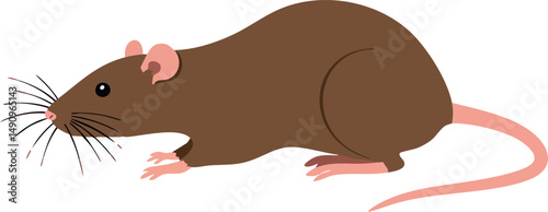Brown rat animal rodent with pink tail and ears sitting vector illustration 