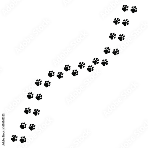 Paw Print Trail Illustration | Pet Paw Path Clipart Design