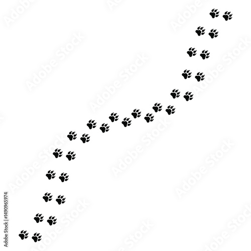 Paw Print Trail Illustration | Pet Paw Path Clipart Design