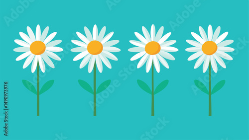 Four charming white daisies with yellow centers and green stems on a teal background