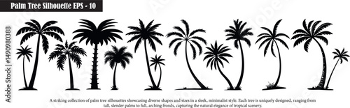  Palm Tree Silhouettes Collection