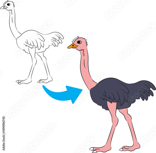 Cute Ostrich Cartoon Outline and Coloring Illustration Isolated on White Background