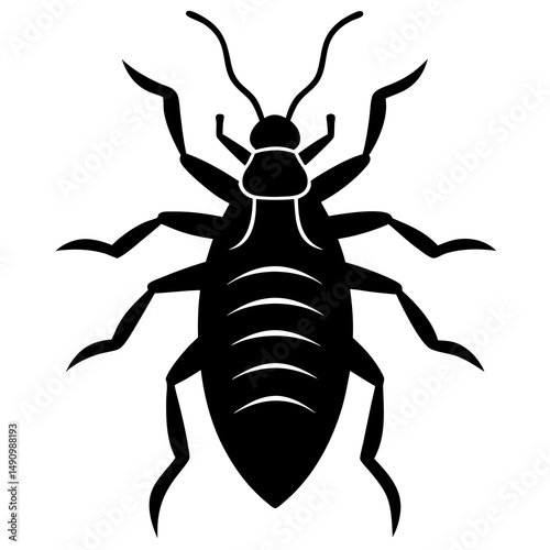 Black and White Stylized Cockroach Illustration