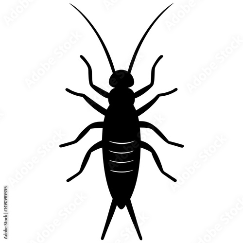 Black Silhouette of an Earwig Insect Illustration