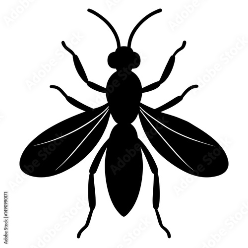 Black Silhouette of a Flying Insect with Wings