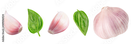 Collection of garlic and basil on isolated white background. Whole and cloves