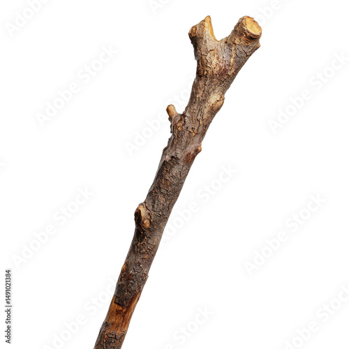 Walking stick Isolated on white transparent background