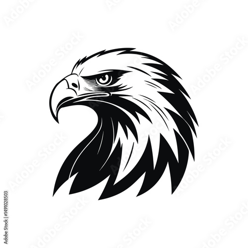 detailed high-contrast line art illustration of an eagle's head, bold sharp feathers, piercing predatory eyes, powerful beak, monochrome black and white

