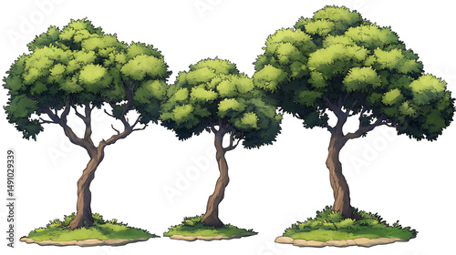 Three lush trees embracing the sunlight standing tall with sturdy trunks a symbol of life on transparent background