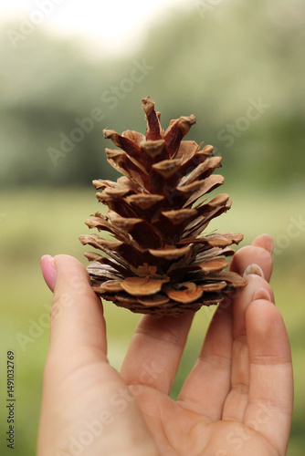 Woman holding a pine cone in her hands on a blurred natural background
Close-up image of a pine cone held gently in a woman's hands with a soft forest background. Concept of nature, environment, fall